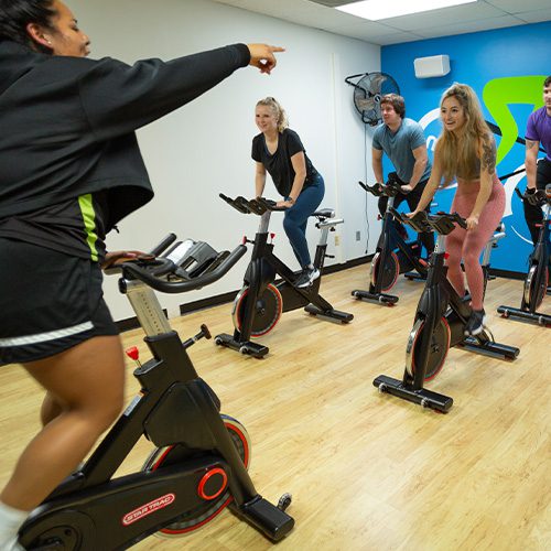 group of people working out on cardio machines