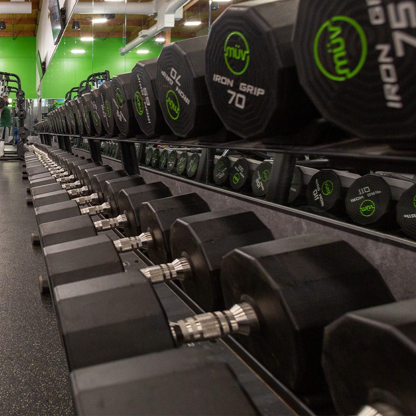 rows of free weights