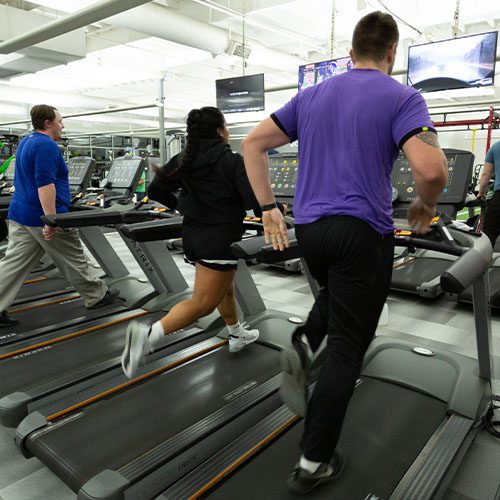group using cardio machines in gym