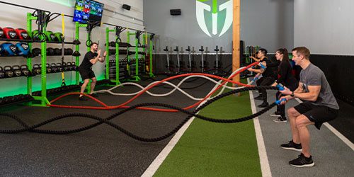 people using battle ropes to workout in a modern gym