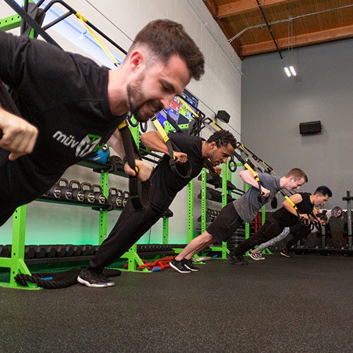 group of people training using TRX