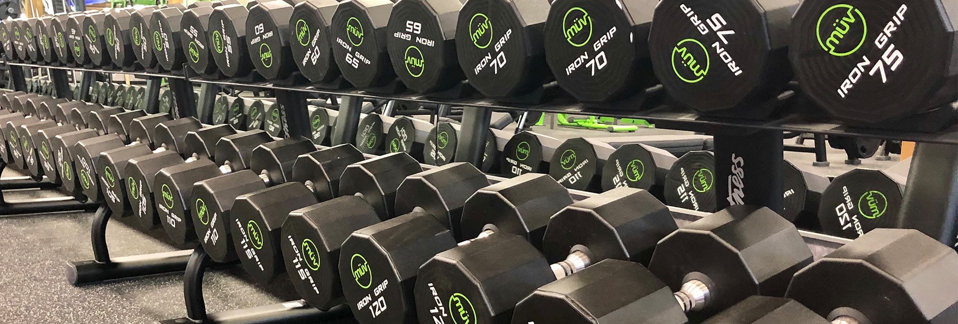 modern gym with tons of weights neatly organized